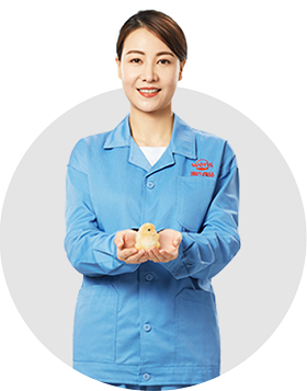 ������ʱ��Z6(�й�)�������ǲ�!